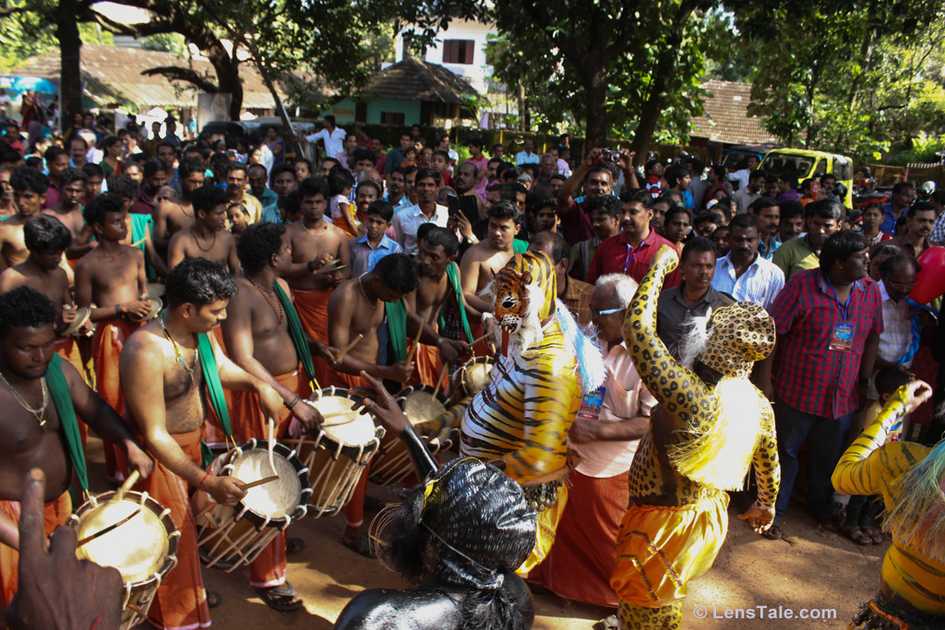 Tigers coming out - Thrissur Pulikali Festival, Viyyur Desham | LensTale